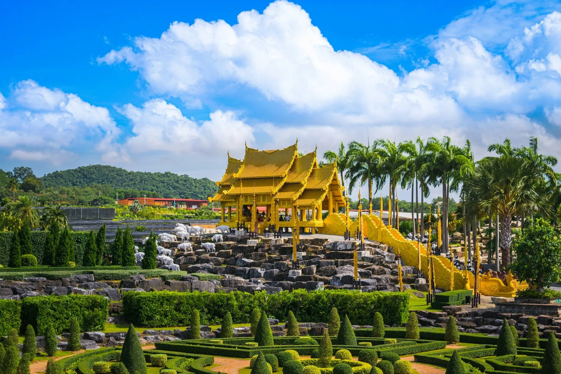 Gyllent paviljongtak bak formklipte hekker og palmer i Nong Nooch Tropical Garden