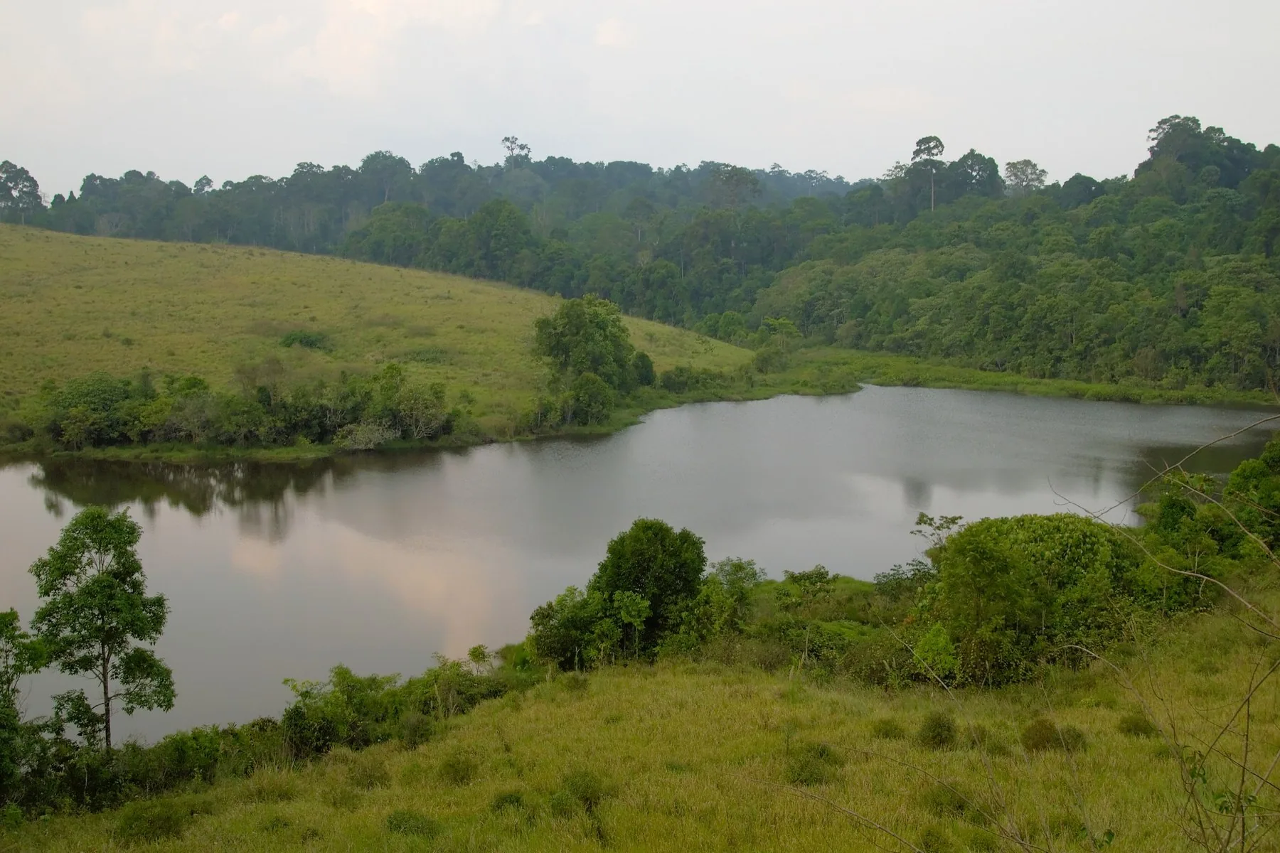 Sø omgivet af græssletter og tæt skov i Khao Yai nationalpark